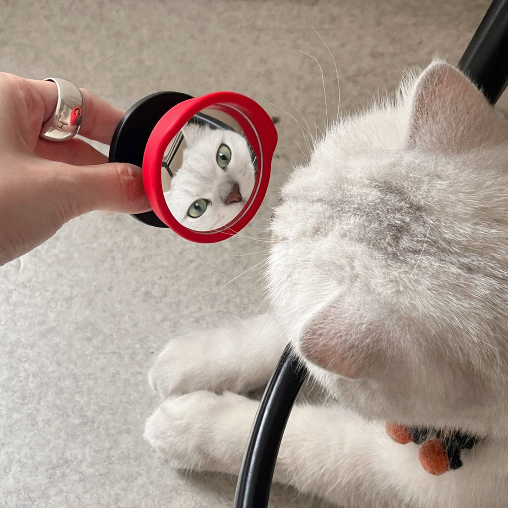 Convex Selfie Mirror – Wide-Angle Magnetic Mirror for Smartphones